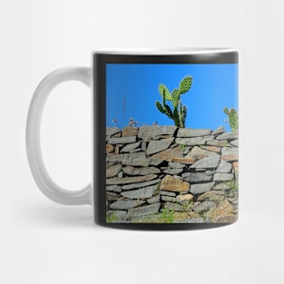 Site archéologique de Patzcuaro Mug